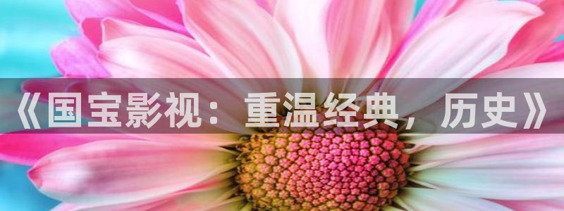 新居之约电视剧免费观看西瓜影院