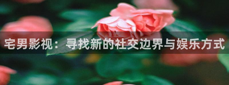 西瓜影院免费观看完整版电视剧