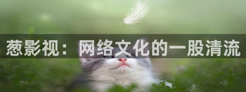 奔跑吧第十季西瓜影院：葱影视：网络文化的一股清流