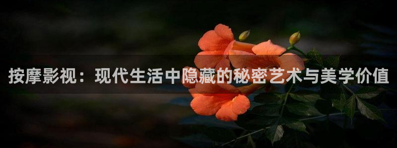 白鹿原电视剧西瓜影院：按摩影视：现代生活中隐藏的秘密艺术与美学价值