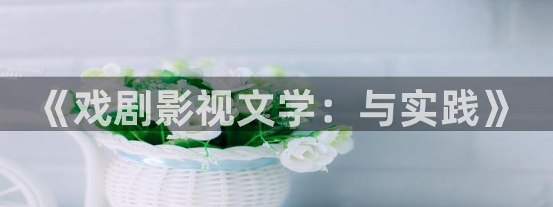 西瓜电影电视剧：《戏剧影视文学：与实践》