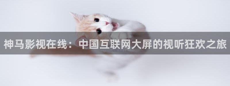 , 西瓜视频：神马影视在线：中国互联网大屏的视听狂欢之旅