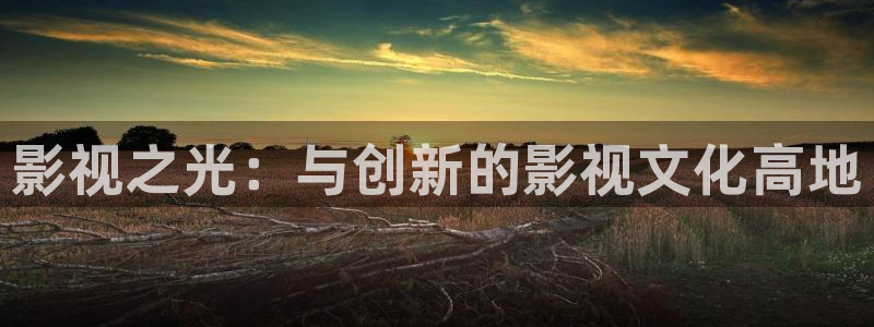 西瓜电影大全：影视之光：与创新的影视文化高地